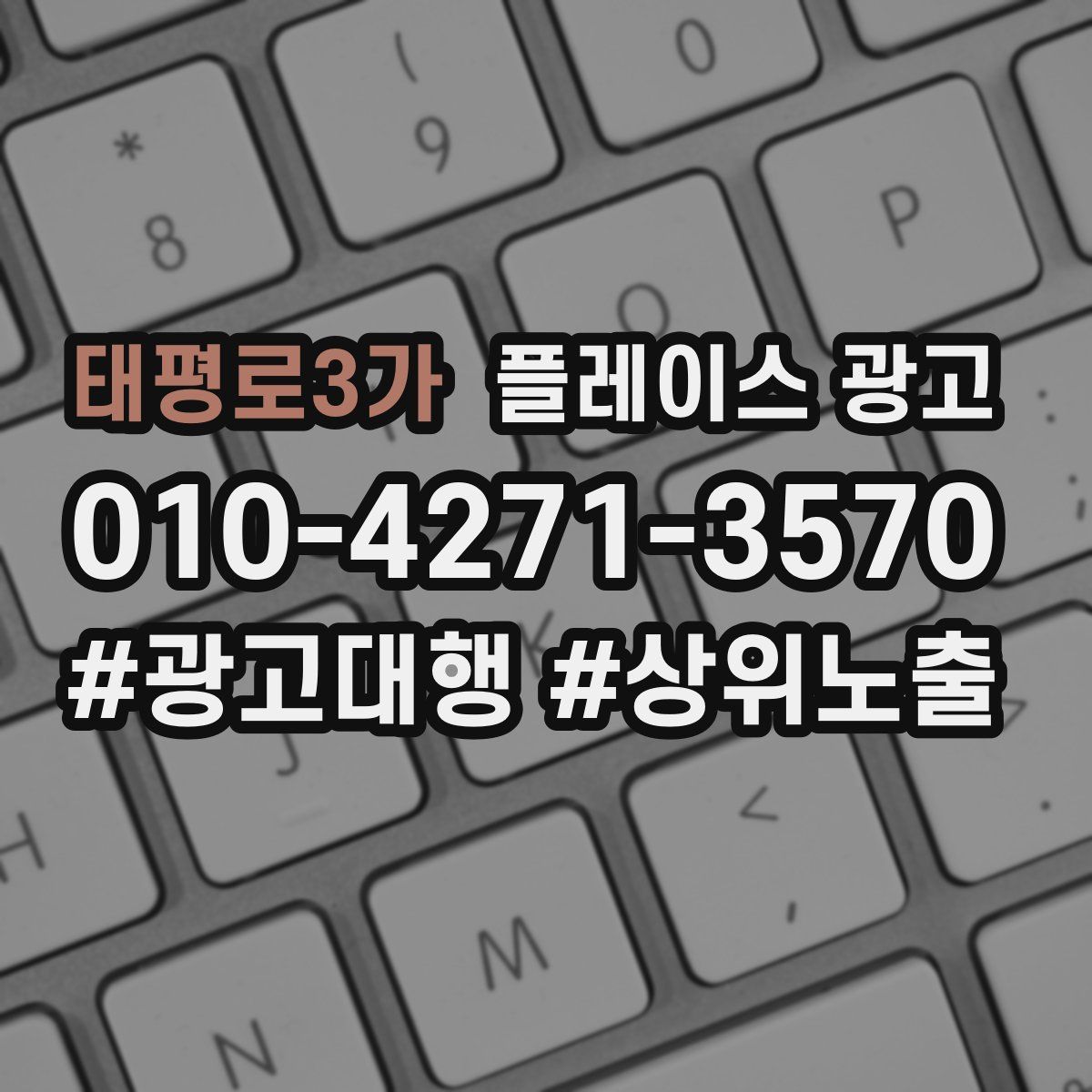 태평로3가 플레이스 광고