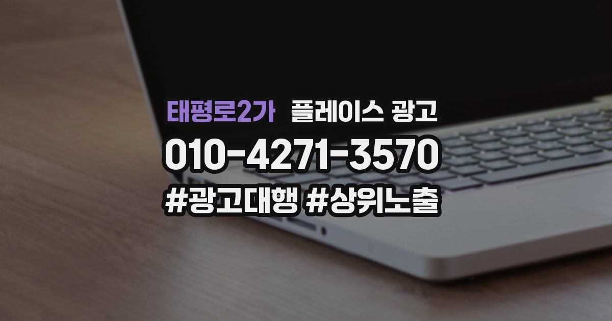 태평로2가 플레이스 광고