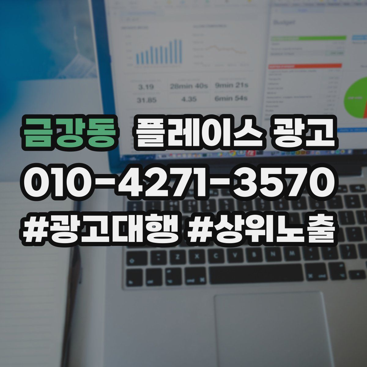 금강동 플레이스 광고