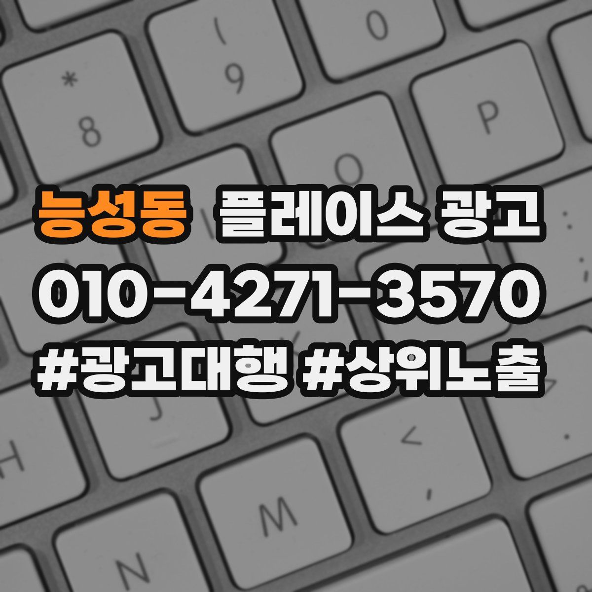능성동 플레이스 광고
