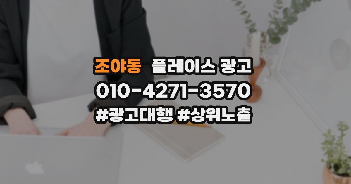 조야동 플레이스 광고