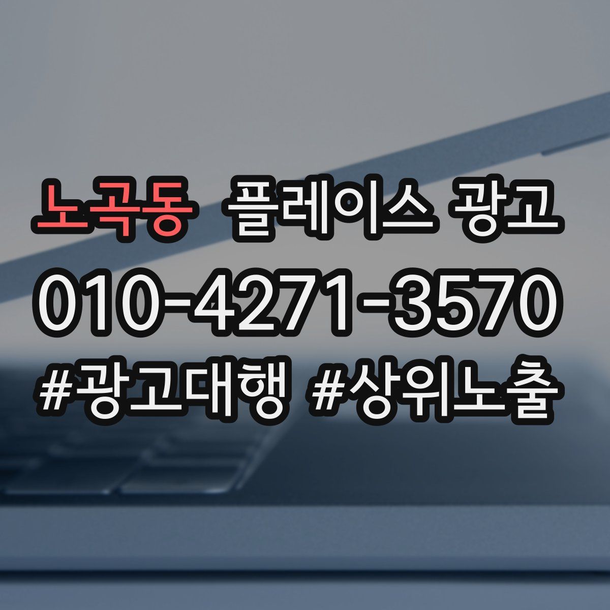 노곡동 플레이스 광고