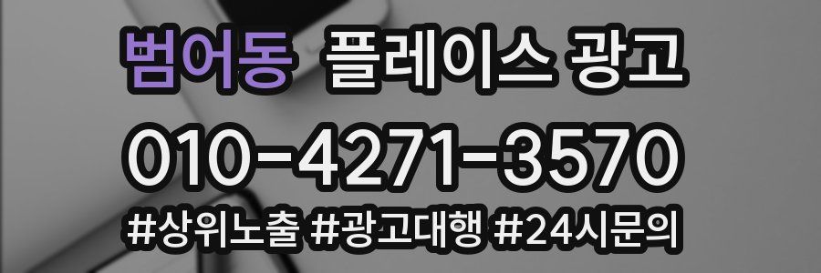 범어동 플레이스 광고