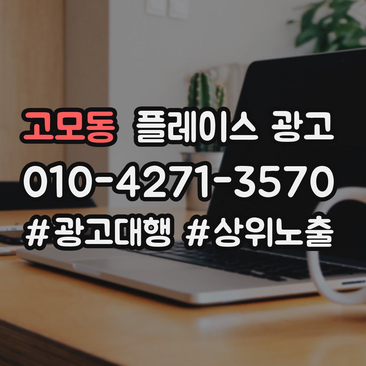 고모동 플레이스 광고