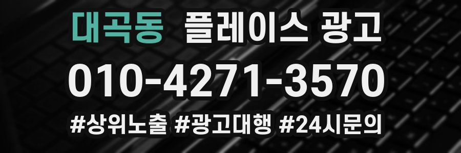 대곡동 플레이스 광고