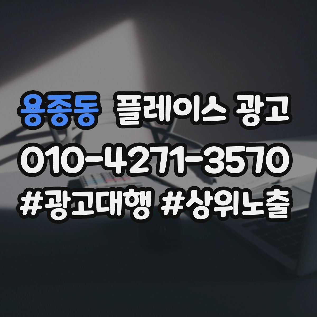 용종동 플레이스 광고