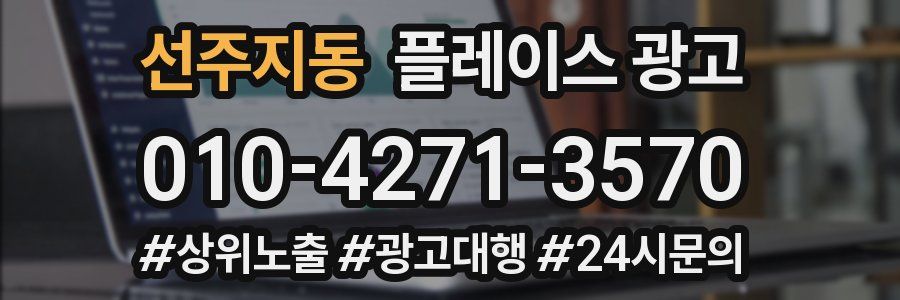 선주지동 플레이스 광고
