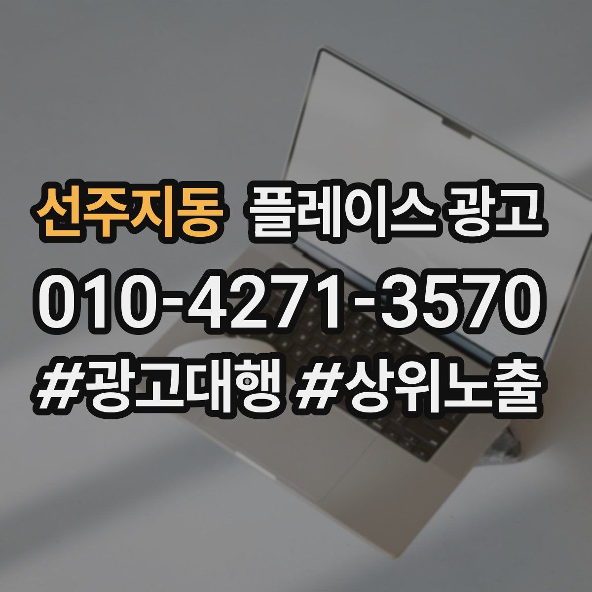 선주지동 플레이스 광고