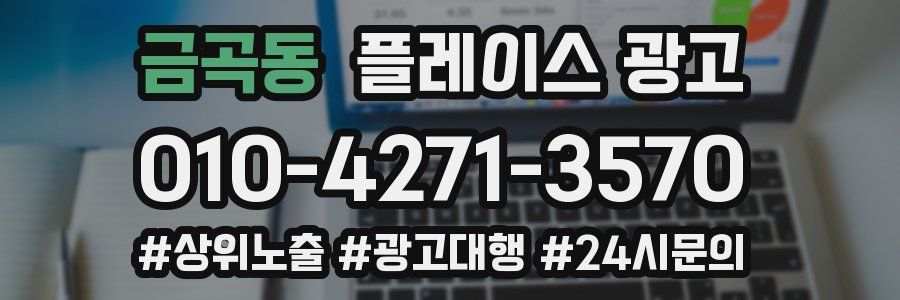 금곡동 플레이스 광고
