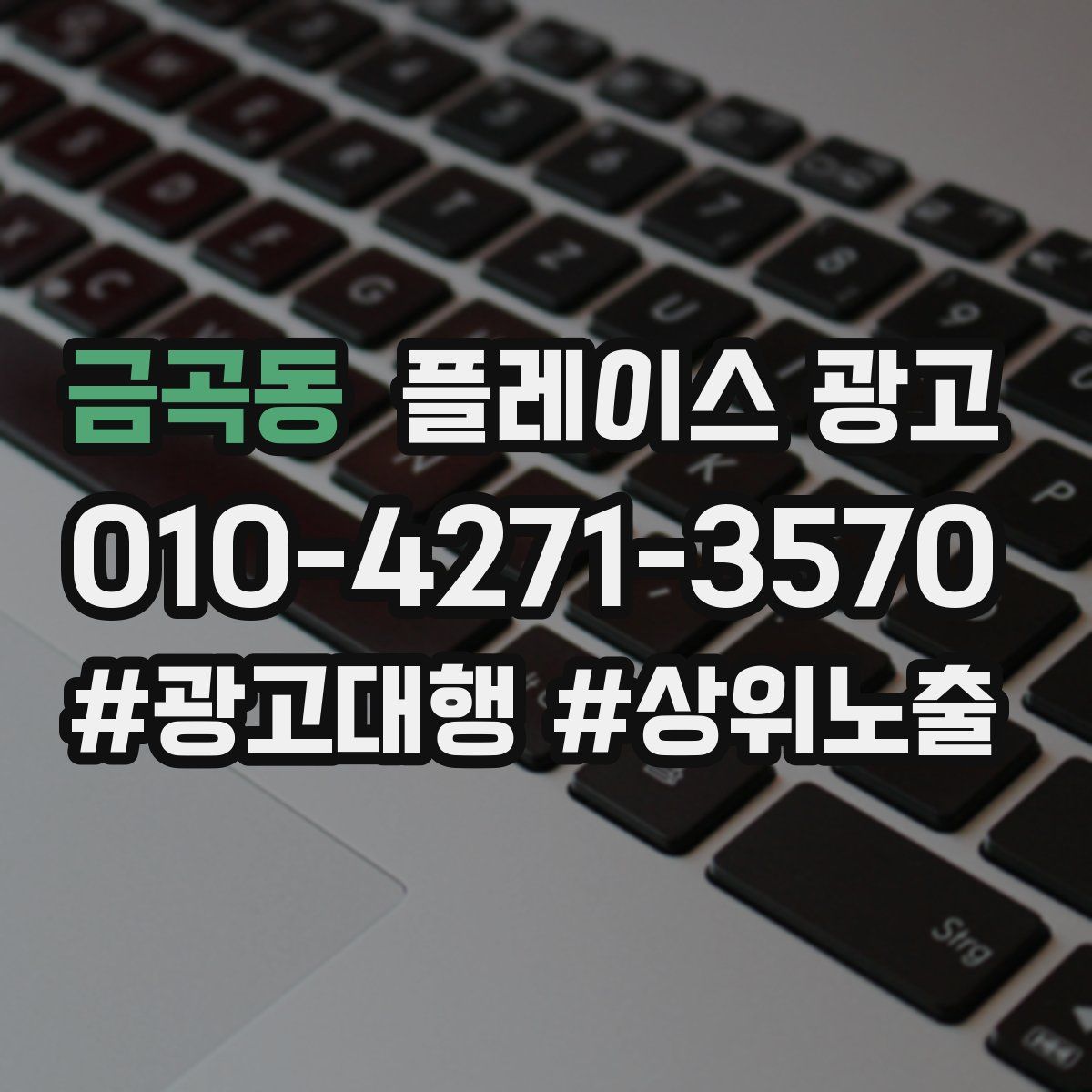 금곡동 플레이스 광고