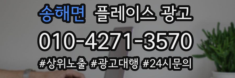 송해면 플레이스 광고