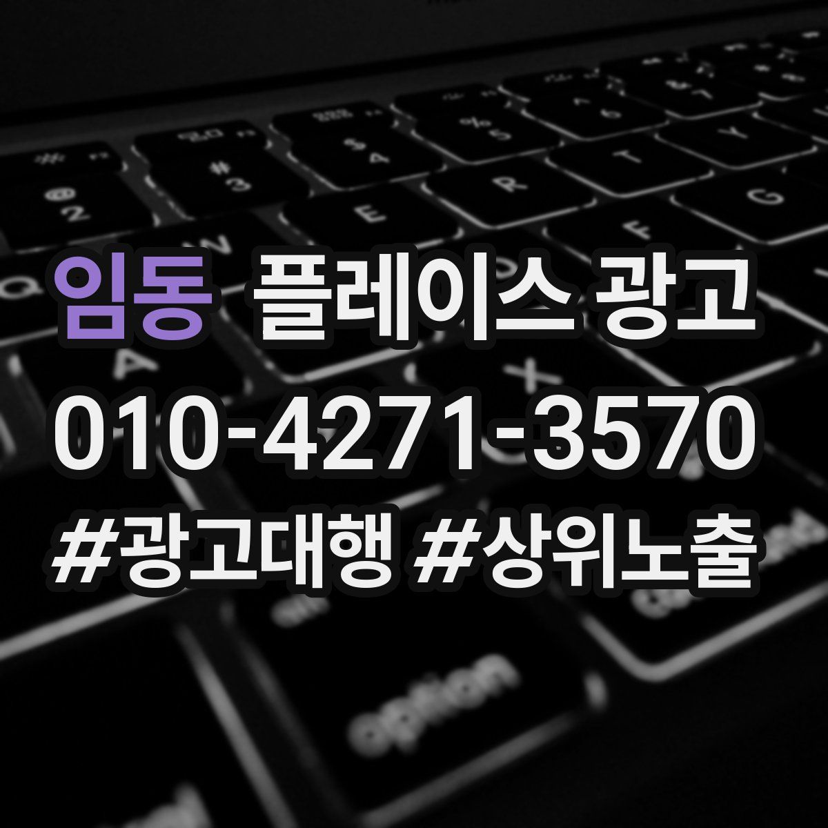 임동 플레이스 광고