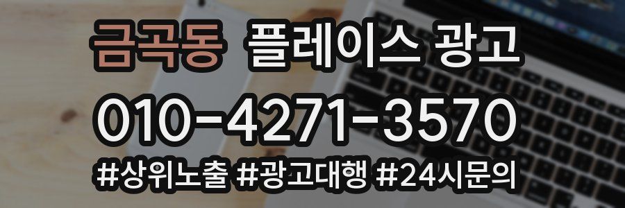 금곡동 플레이스 광고