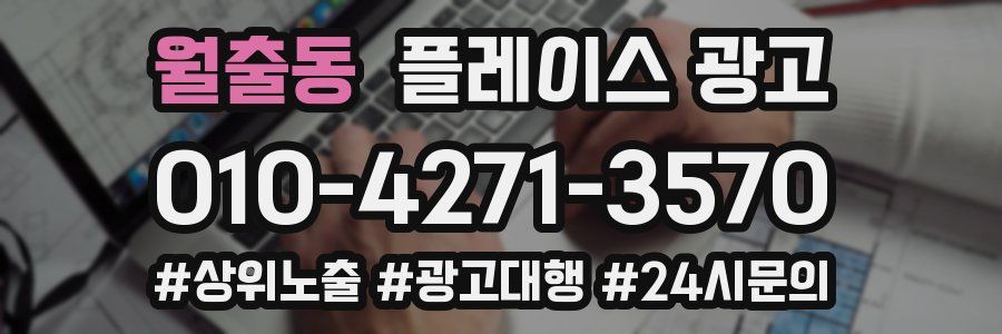 월출동 플레이스 광고