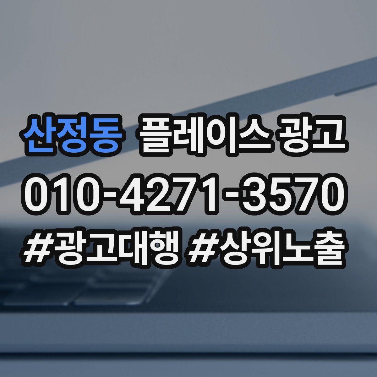 산정동 플레이스 광고