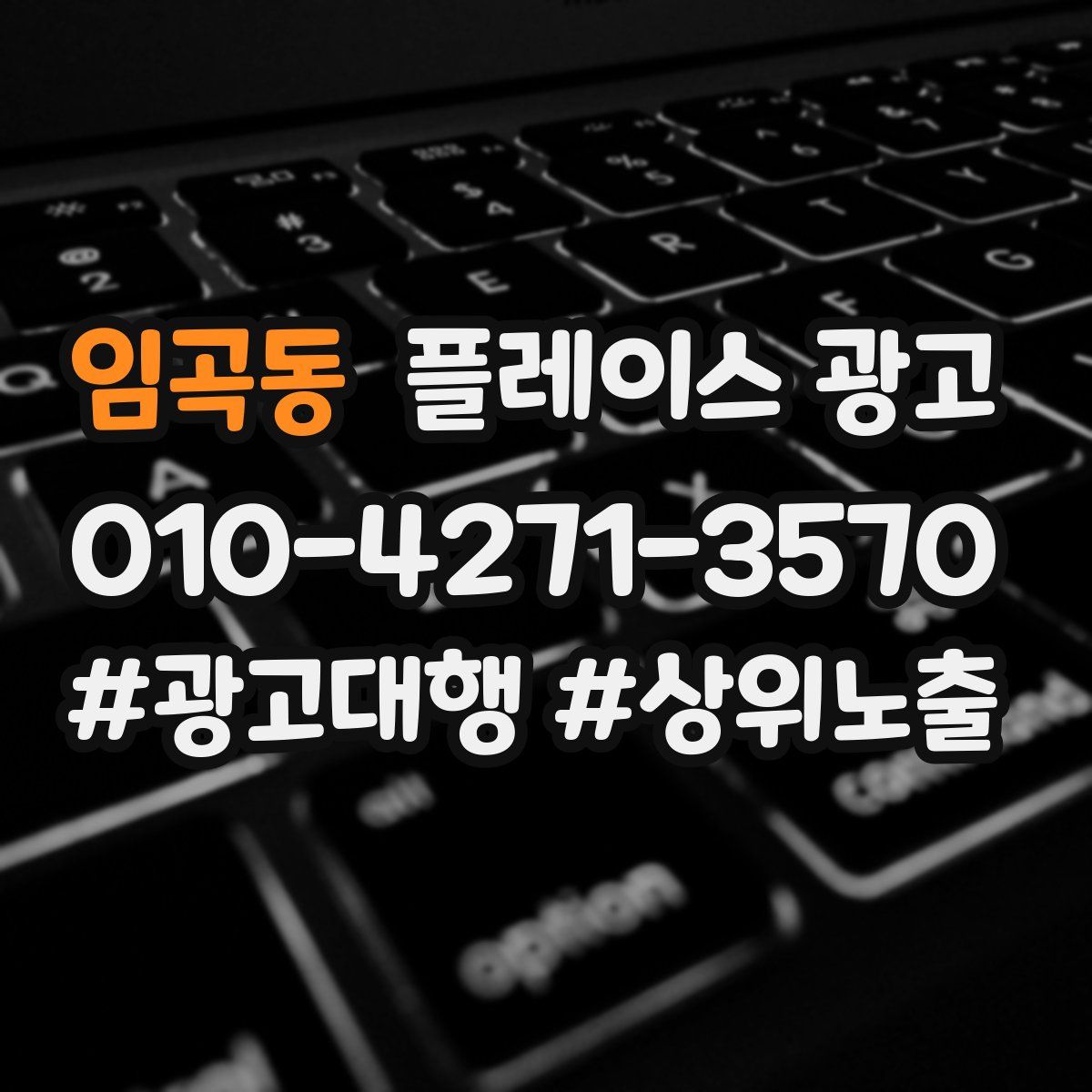 임곡동 플레이스 광고