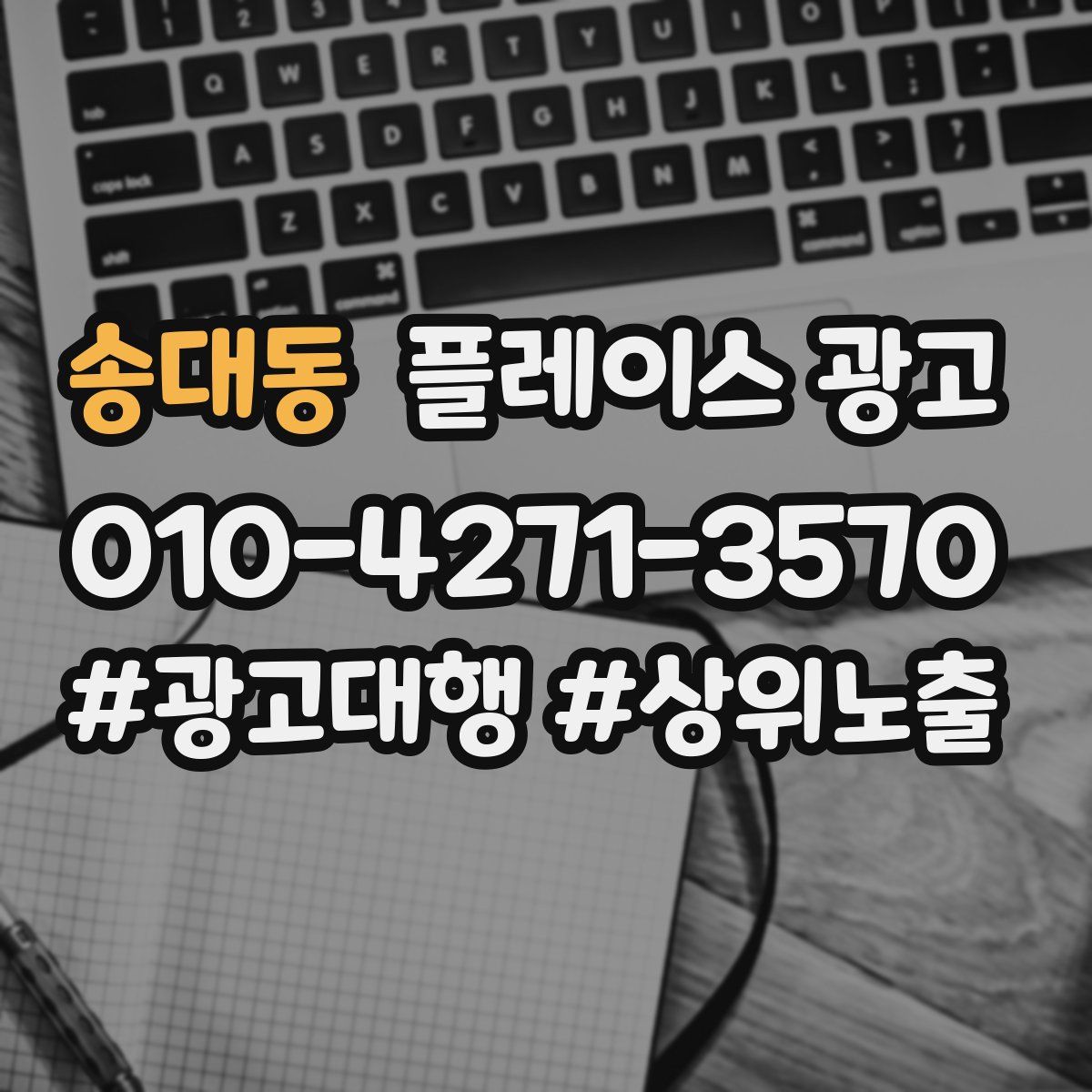 송대동 플레이스 광고