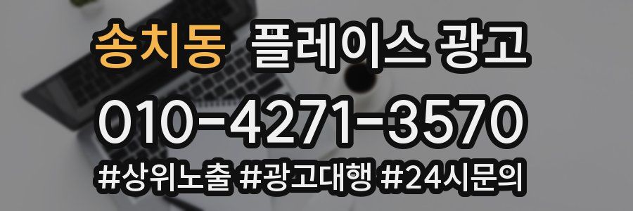 송치동 플레이스 광고