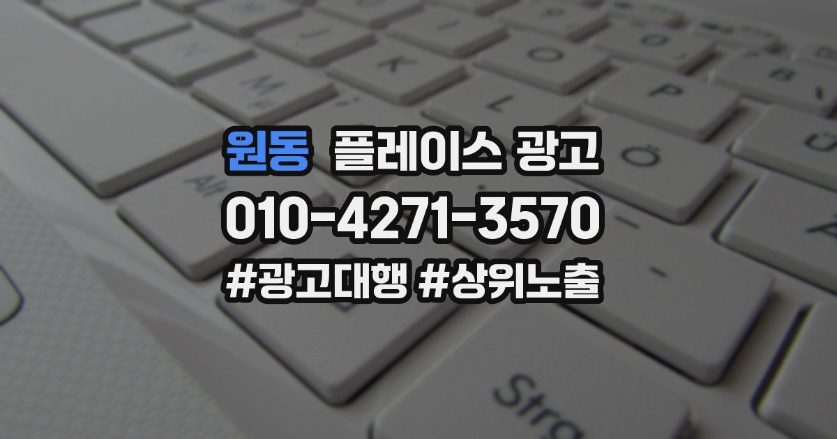 원동 플레이스 광고