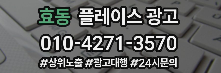 효동 플레이스 광고