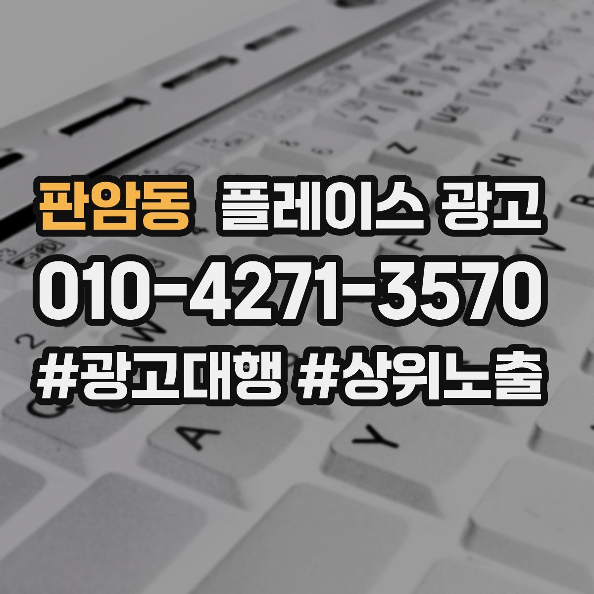 판암동 플레이스 광고