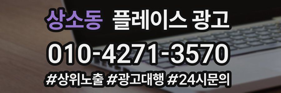 상소동 플레이스 광고