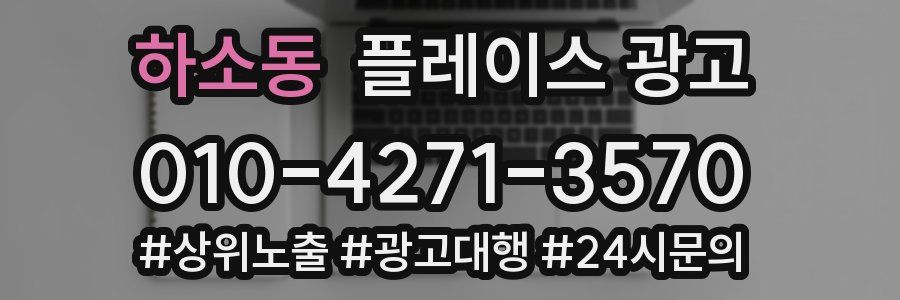하소동 플레이스 광고