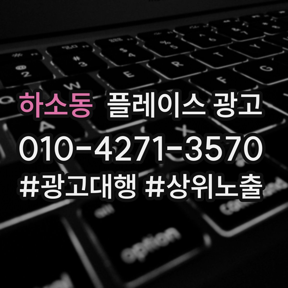 하소동 플레이스 광고