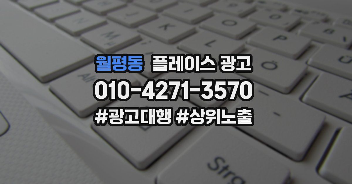 월평동 플레이스 광고