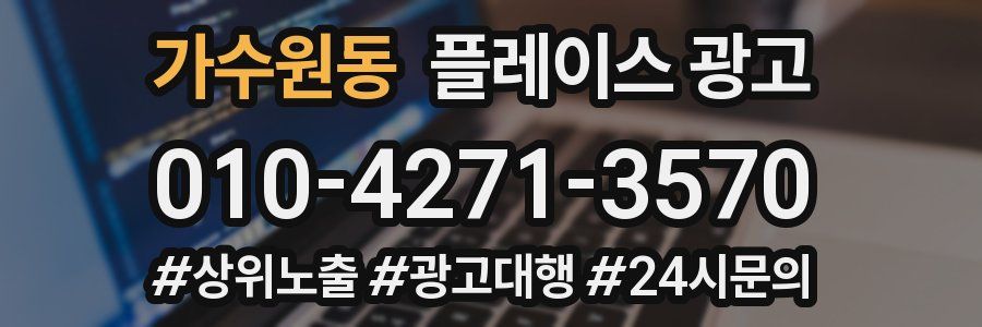 가수원동 플레이스 광고