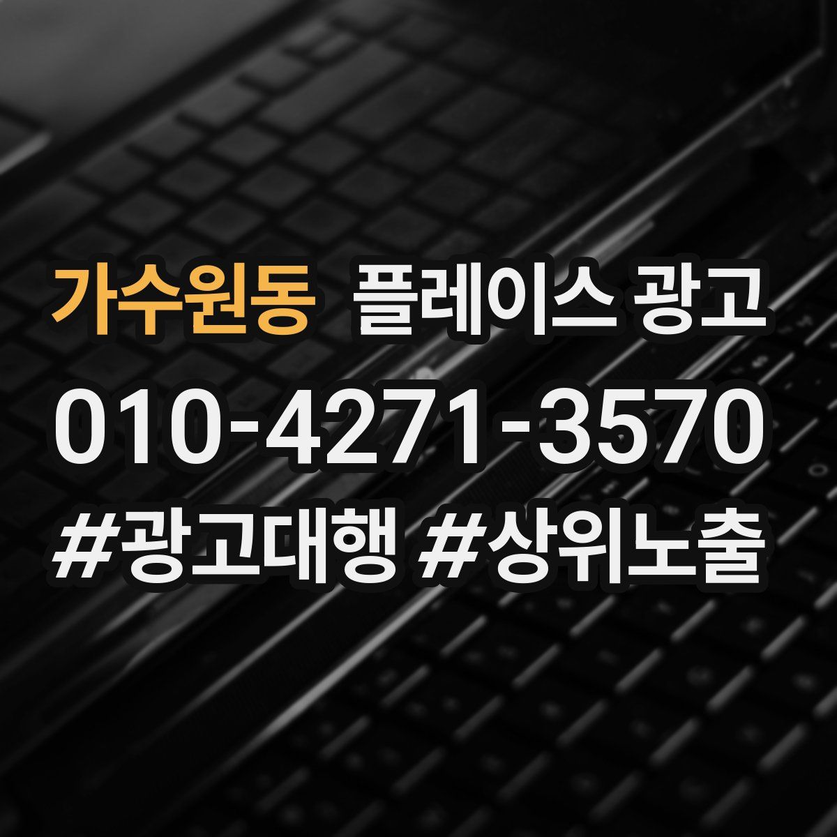 가수원동 플레이스 광고