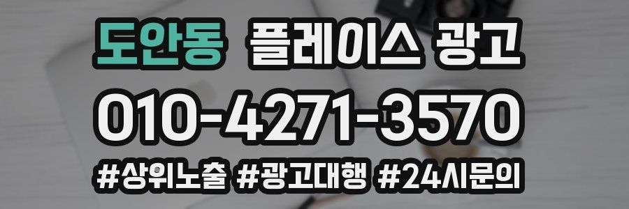 도안동 플레이스 광고