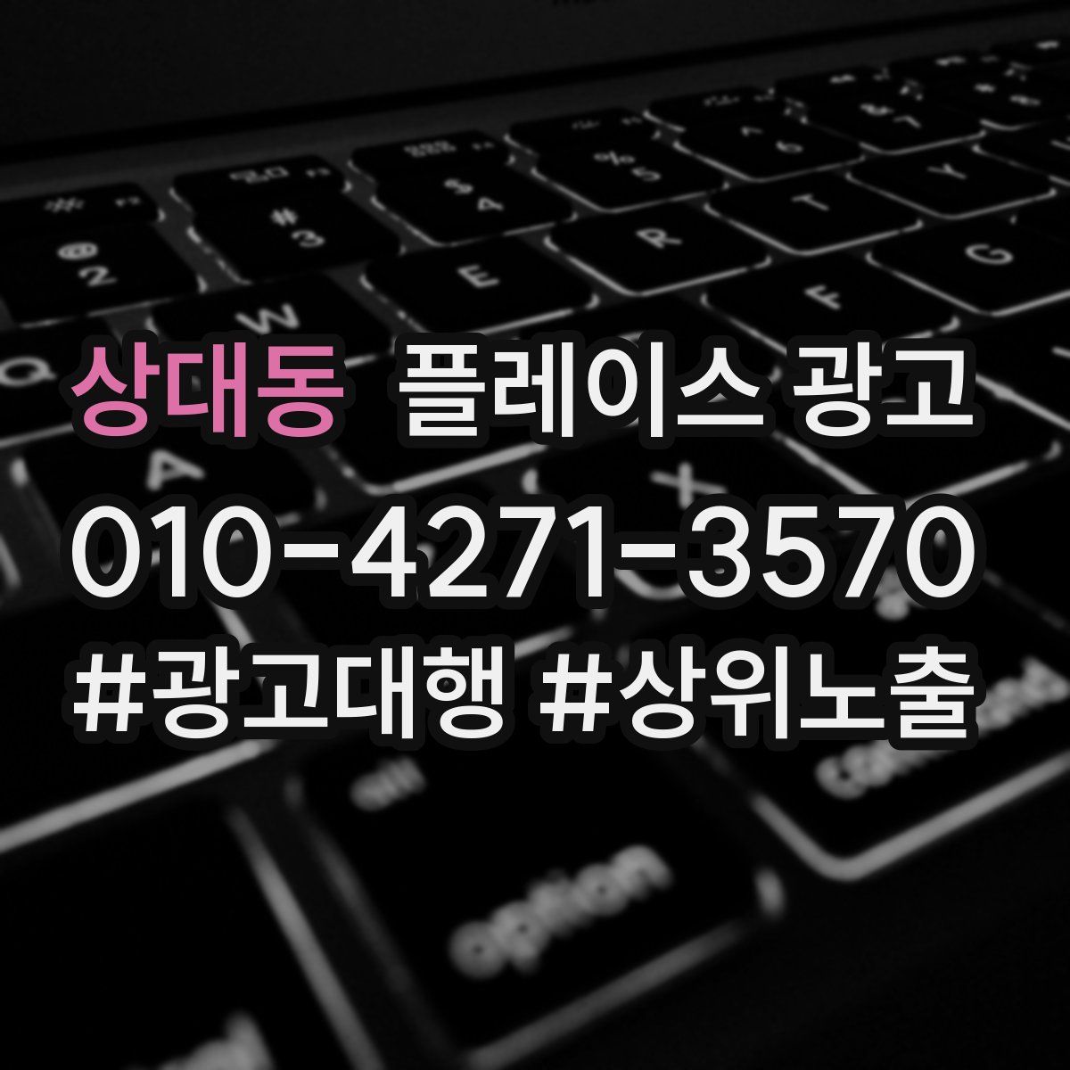 상대동 플레이스 광고