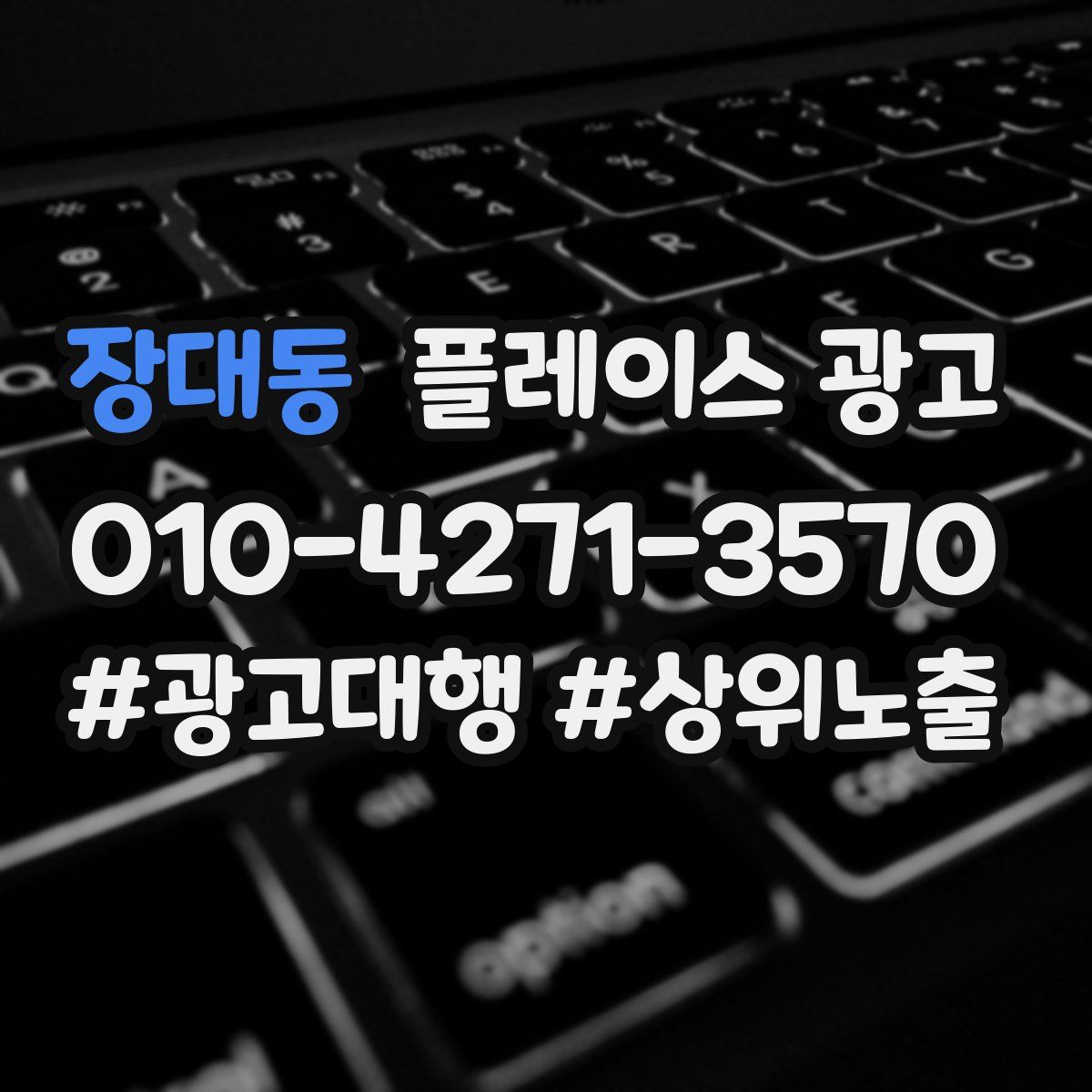 장대동 플레이스 광고