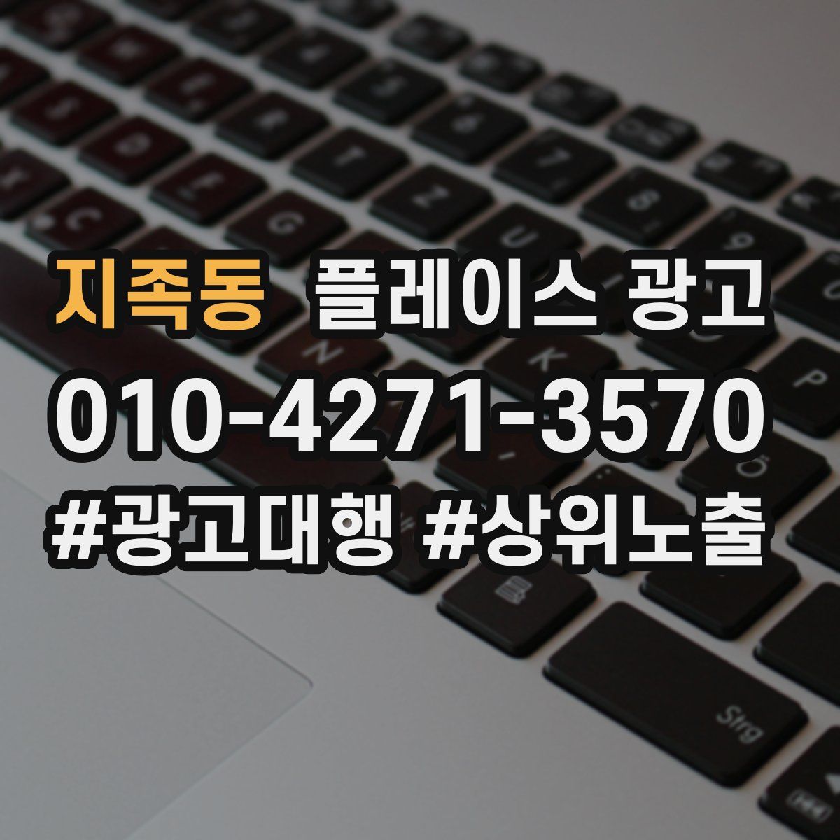 지족동 플레이스 광고