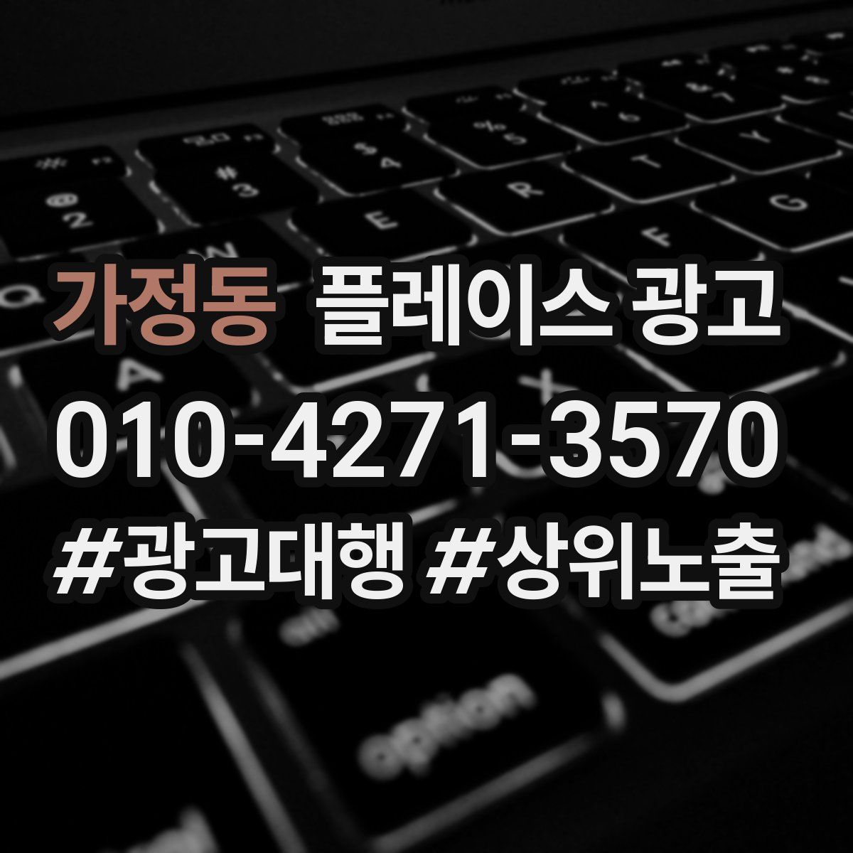 가정동 플레이스 광고