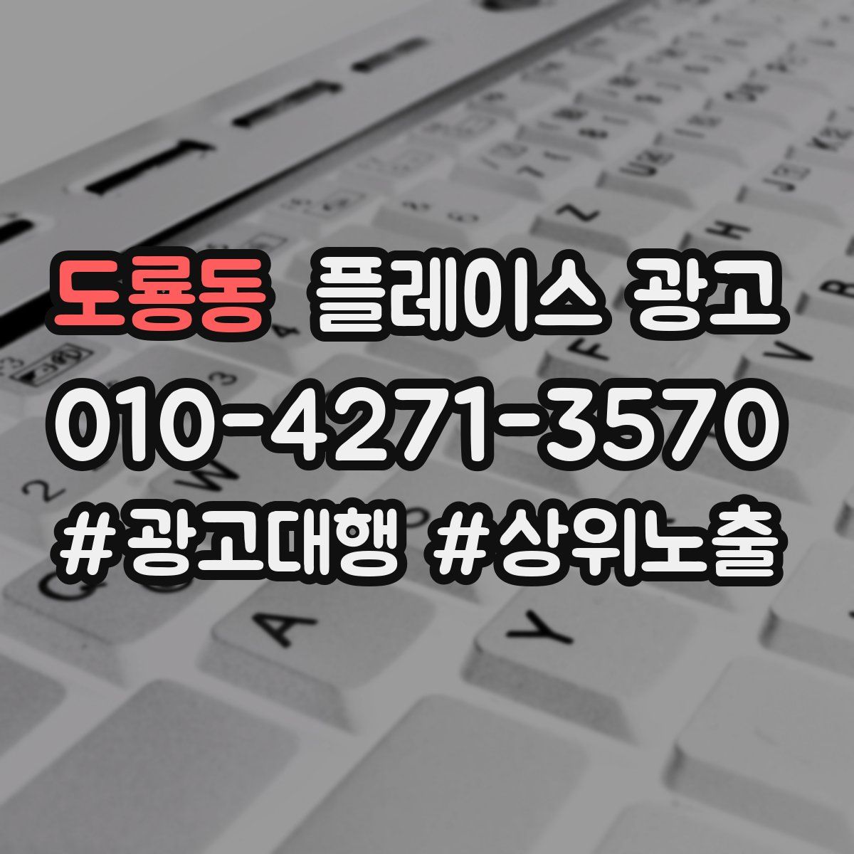 도룡동 플레이스 광고