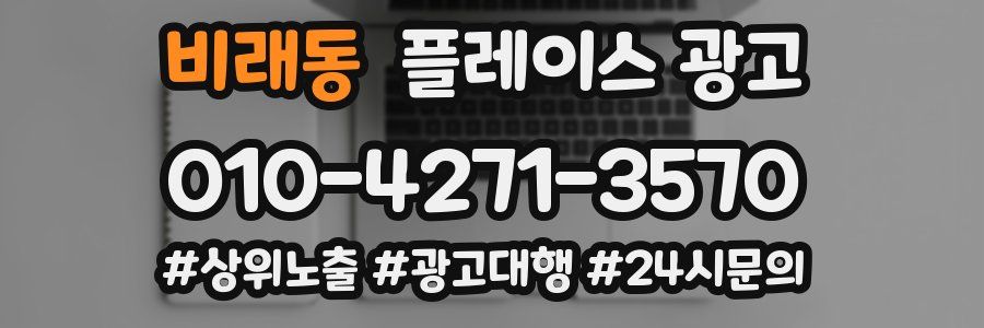 비래동 플레이스 광고