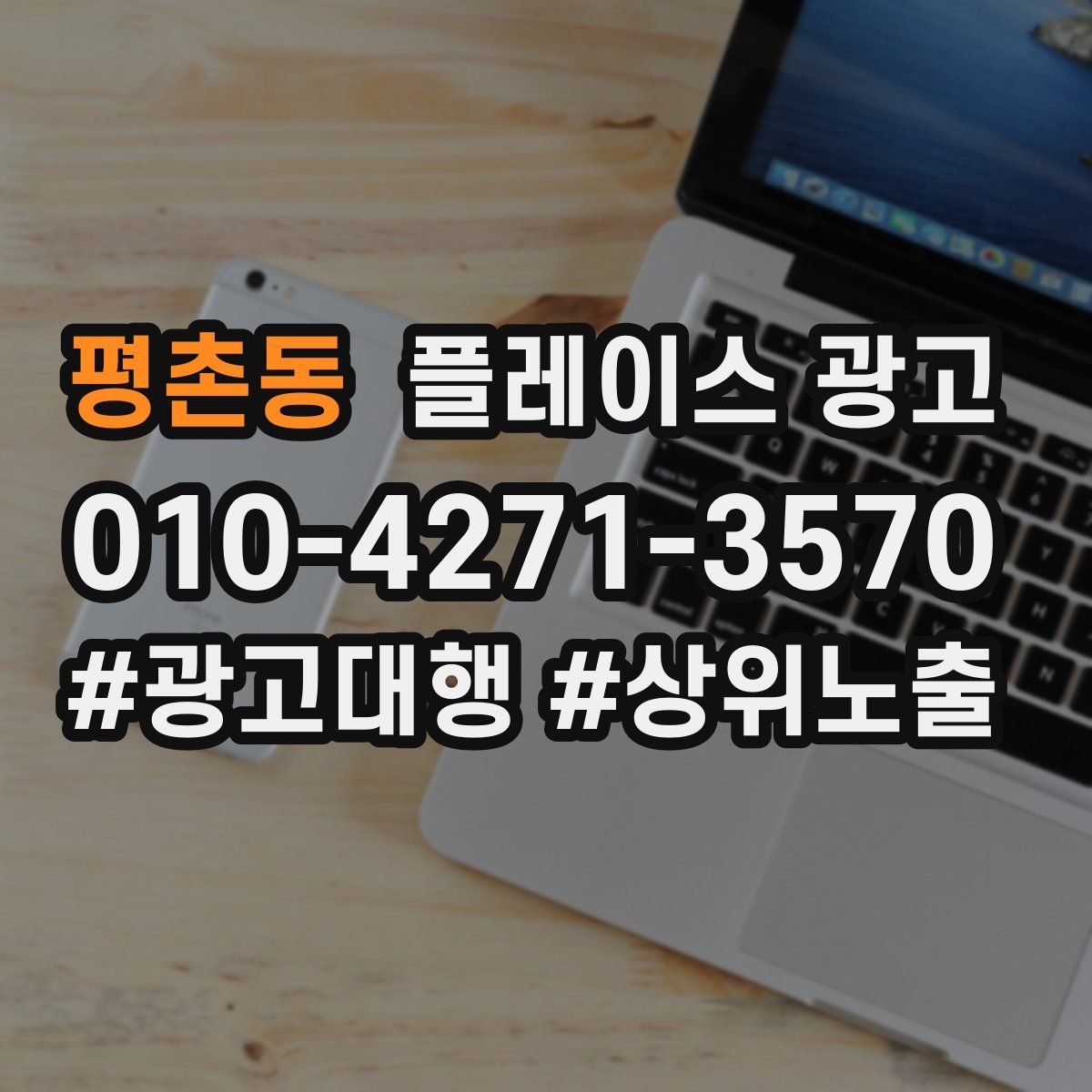 평촌동 플레이스 광고