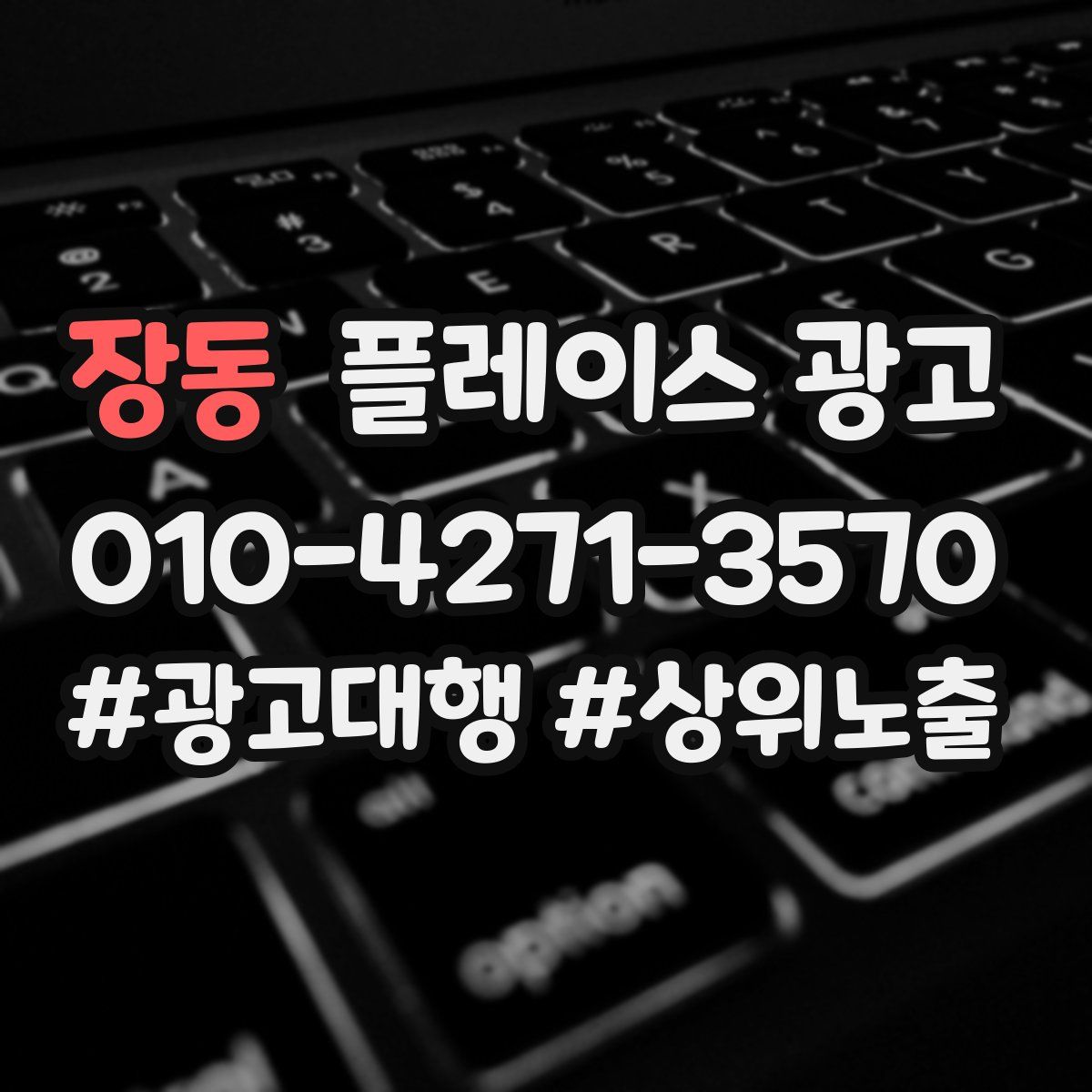 장동 플레이스 광고