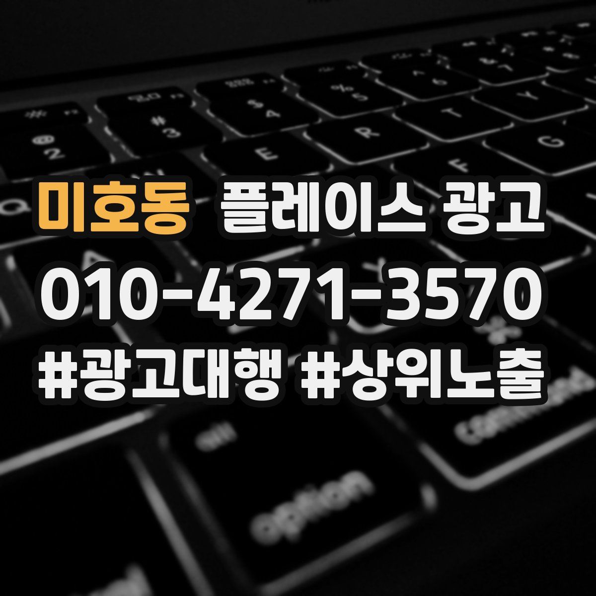 미호동 플레이스 광고