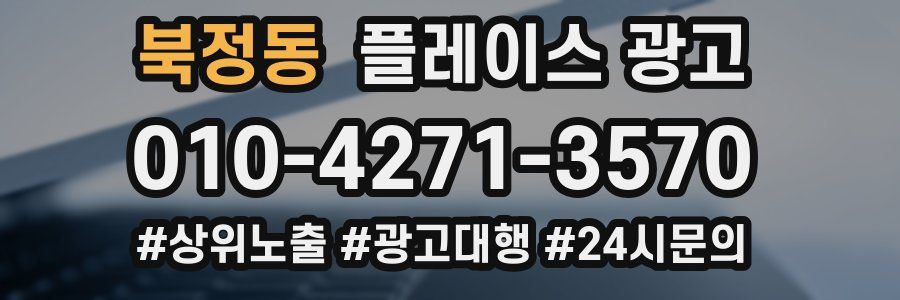 북정동 플레이스 광고