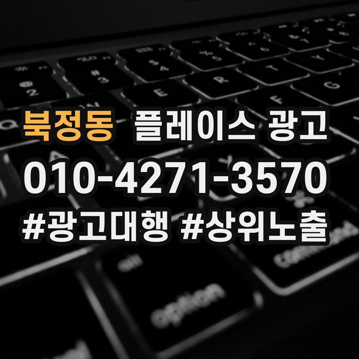 북정동 플레이스 광고