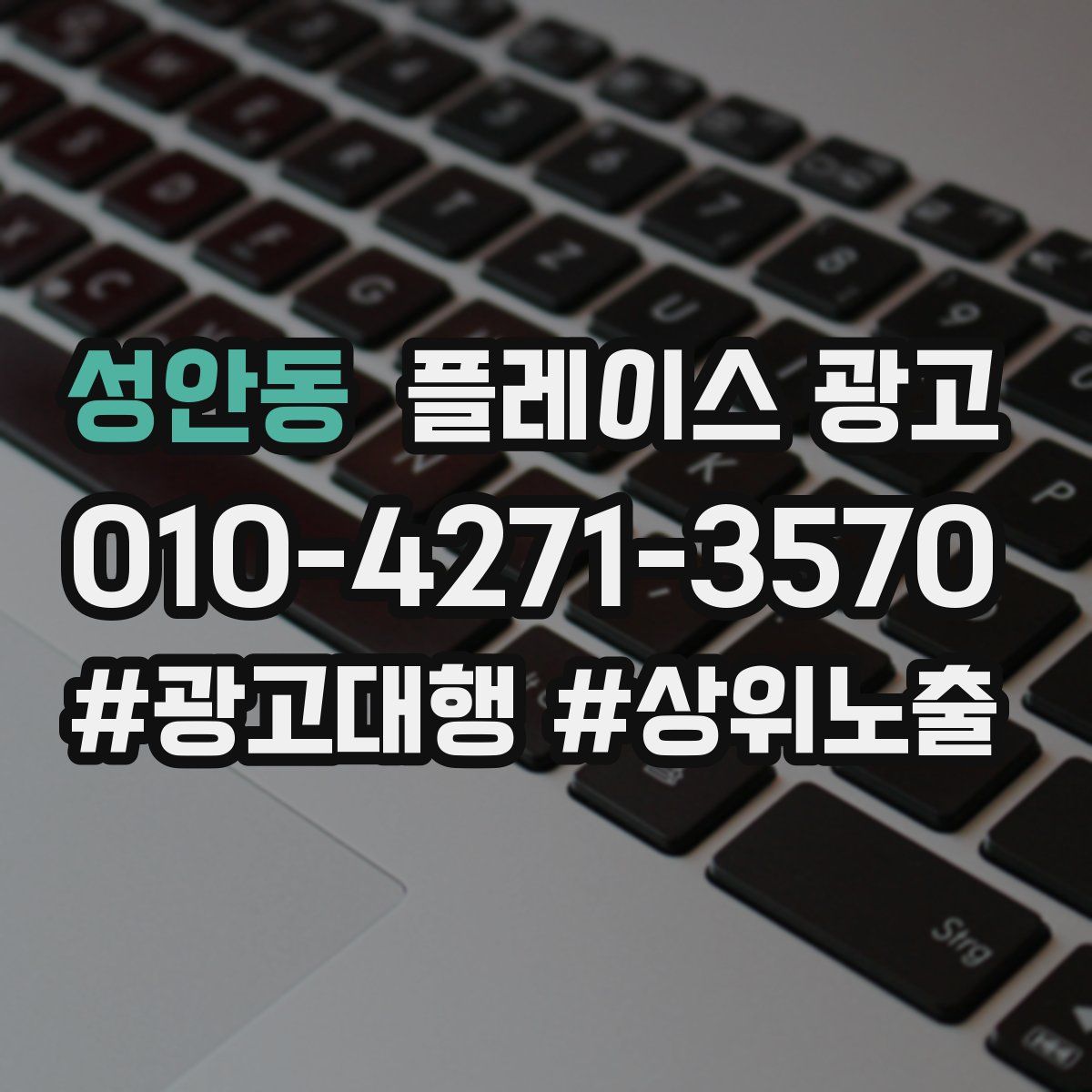 성안동 플레이스 광고