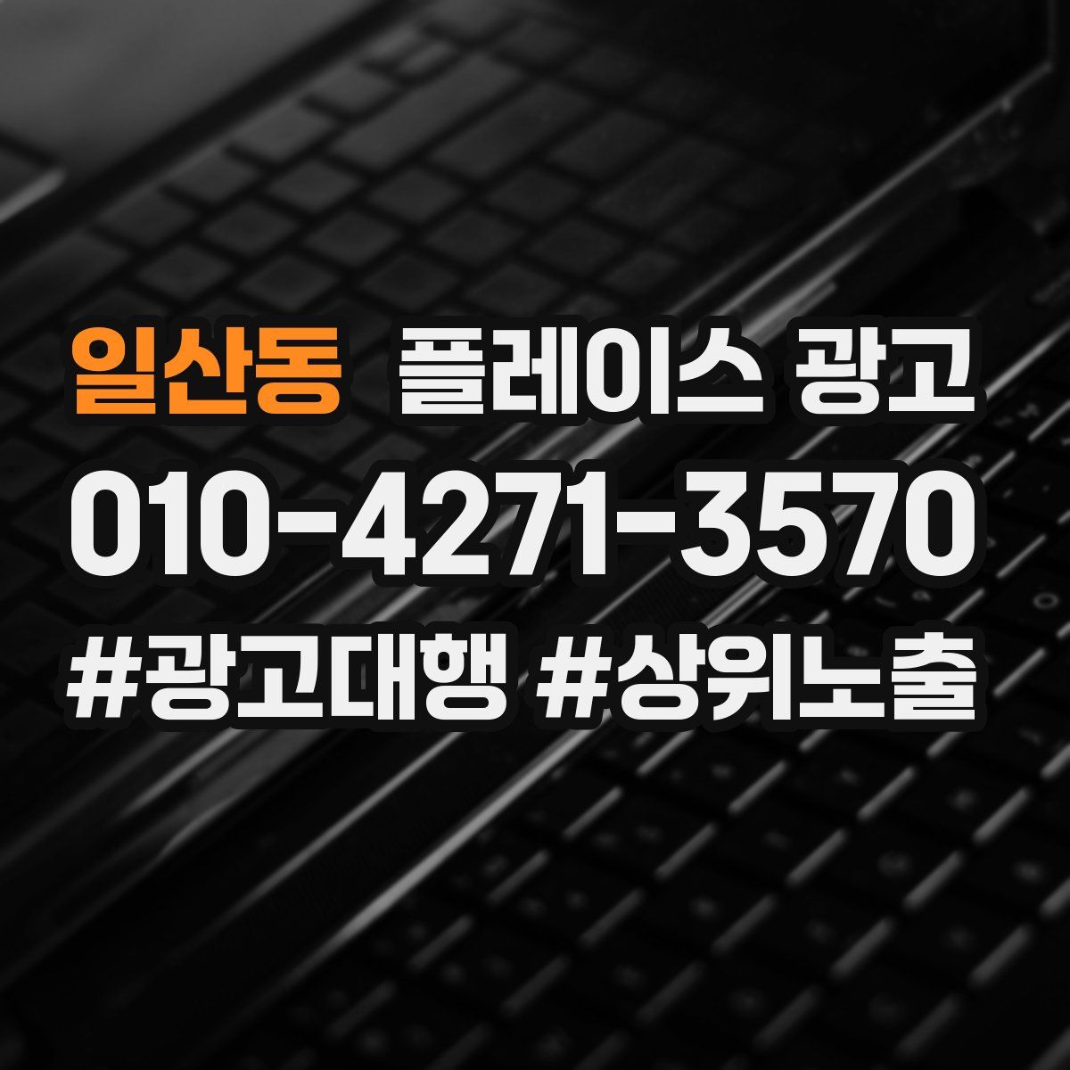 일산동 플레이스 광고