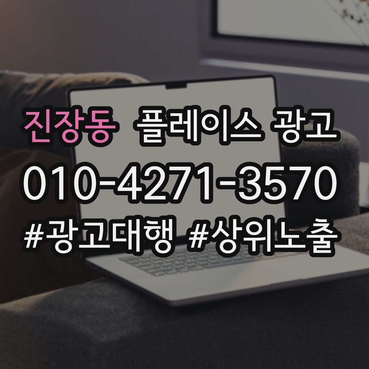 진장동 플레이스 광고