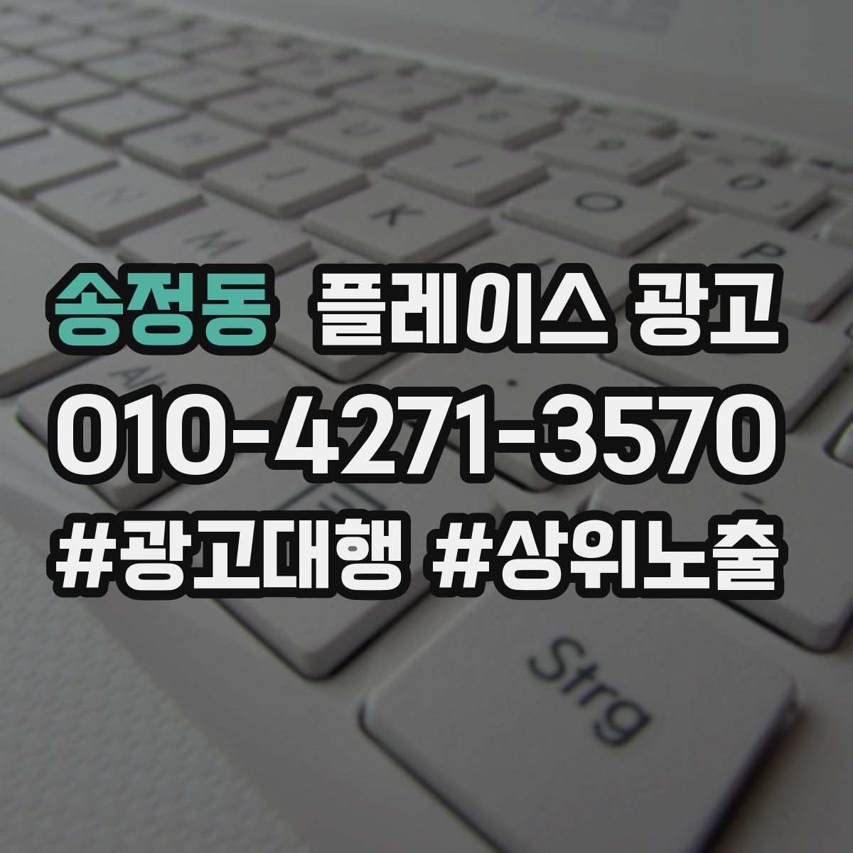 송정동 플레이스 광고