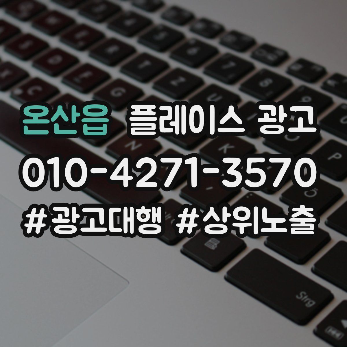 온산읍 플레이스 광고