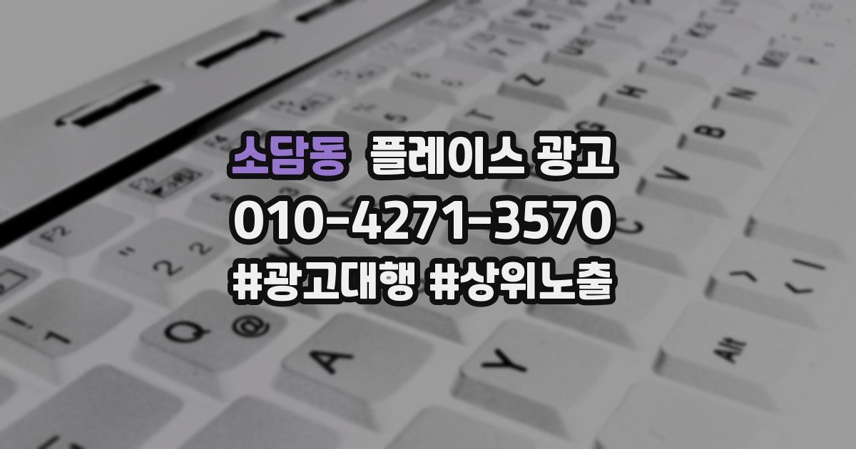소담동 플레이스 광고