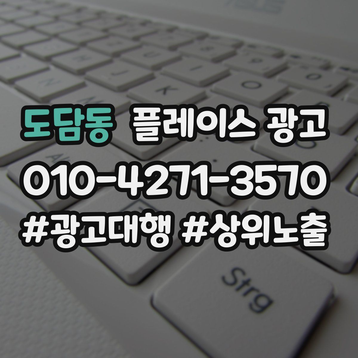 도담동 플레이스 광고